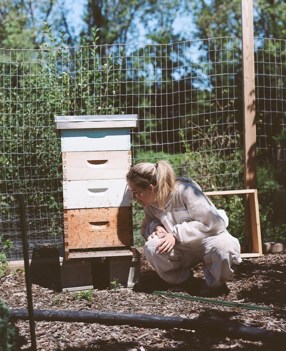 Dani looking at her beehive